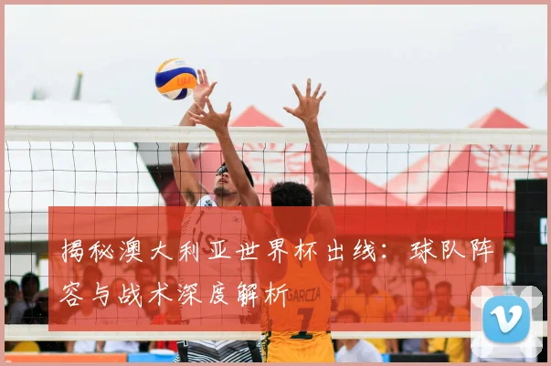 揭秘澳大利亚世界杯出线：球队阵容与战术深度解析